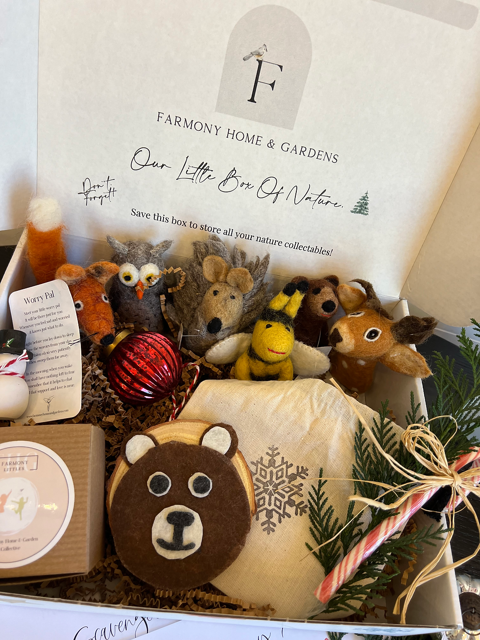 Thumbnail: Children's Nature Box Subscription