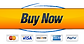 Buy Now Button.png