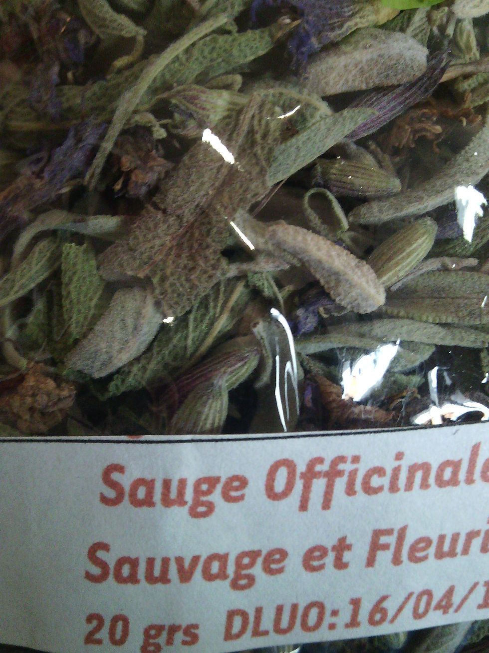 Fleurs et feuilles de Sauge officina