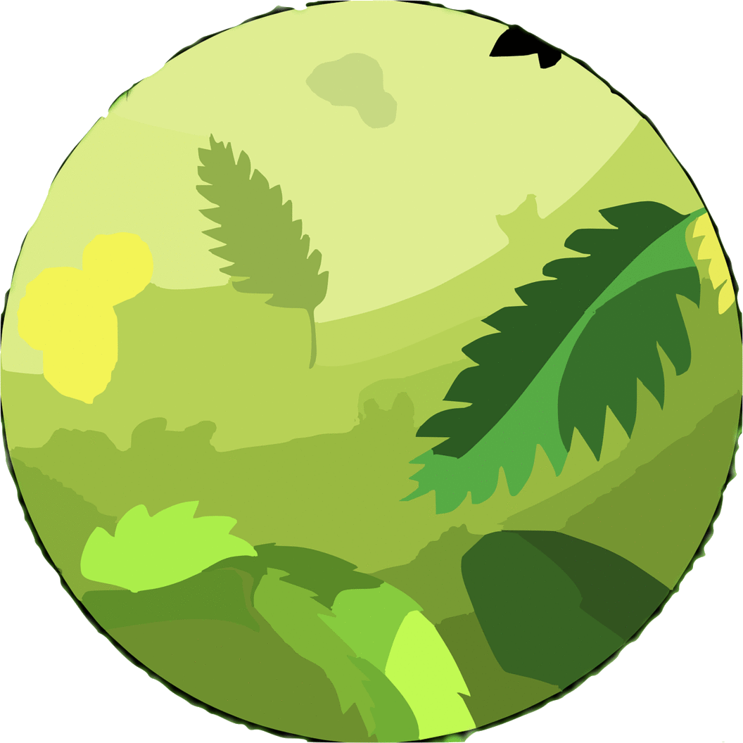 imageedit_1_7489181440.gif