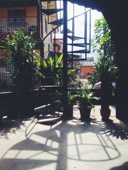 Our spiral staircase