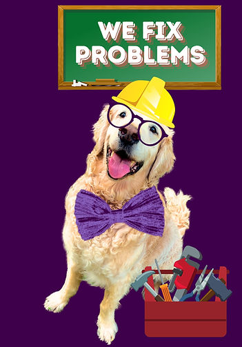 What we do at Noble Alliance: we fix problems