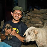 Dr. Mujib Rahman DVM, MS