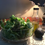 Thumbnail: Unfactory Spring Mix