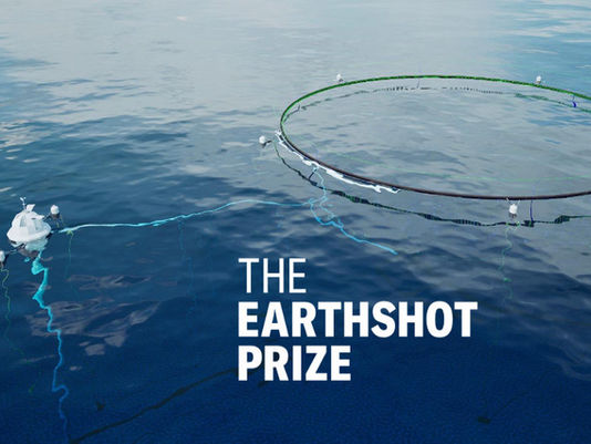 Blue Carbon Nominated for EarthShot Prize, Twice