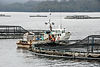 Aquaculture Boat and Pen.jpeg