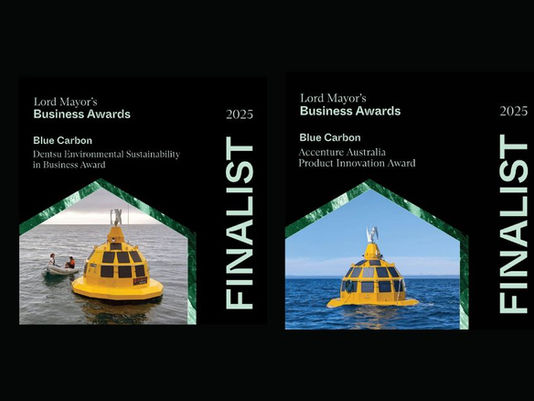 Blue Carbon finalist in two categories for Brisbane’s 2025 Lord Mayor’s Business Awards