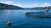 oPod Mini next to fish farm.png