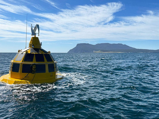 Blue Carbon recognised as one of Brisbane's leading innovators