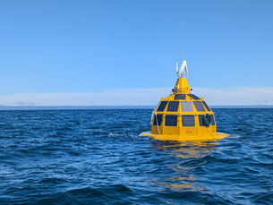 Brisbane Ocean Tech Blue Carbon Wins Federal Industry Growth Grant for Innovative oPod™