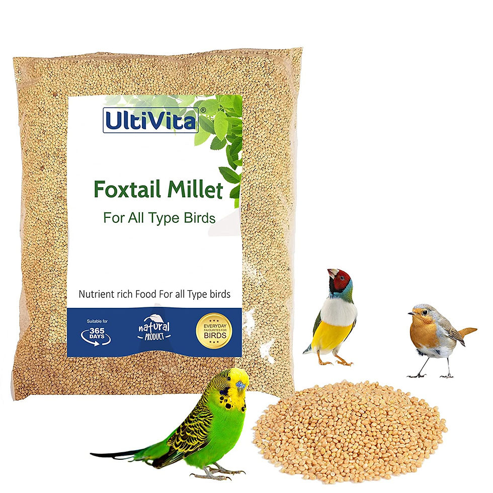Ultivita Foxtail Millet Bird Food (450 Gm)