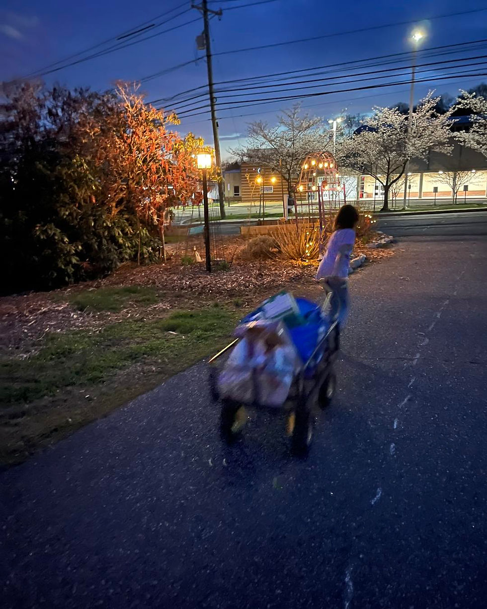 Child pulling a wagon filled with items on a dark path, evening lighting, streetlamps, and trees with white blossoms in the background.