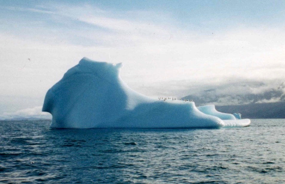 Huge blue-white iceberg floating on a calm sea, with small birds on top under a cloudy sky.