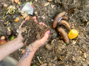 Compost with Live Soil Being Held