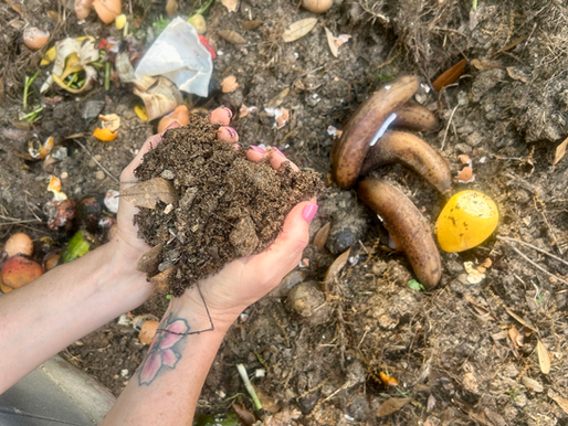 Embrace the Green Revolution: A Guide to Composting for Eco-Conscious Gardeners