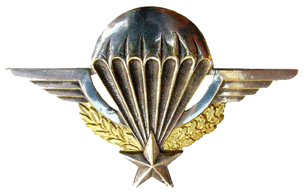 brevet_militaire_parachutiste_detoure.gif