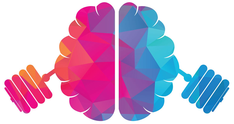 cerveau