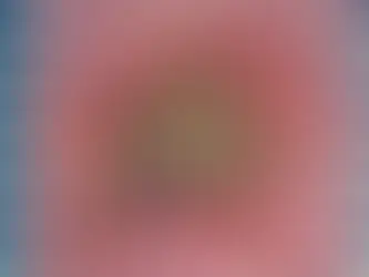 Peeling Back (detail; 1974), Judy Chicago. Photo: © Donald Woodman/Artists Rights Society (ARS), New York; courtesy Judy Chicago; © the artist/ARS, New York