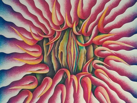 Peeling Back (detail; 1974), Judy Chicago. Photo: © Donald Woodman/Artists Rights Society (ARS), New York; courtesy Judy Chicago; © the artist/ARS, New York