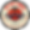Tipsy Tomato Logo.png