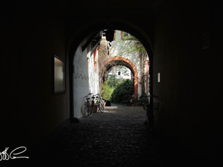 Heidelburg Path DSC_4855.jpeg
