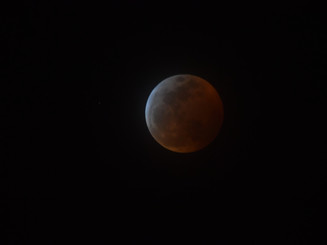DSC_4604.jpeg