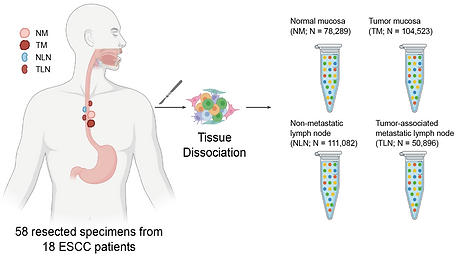 스크린샷 2025-04-24 141630.png