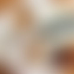 Journey with Jesus through Lent