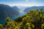 AdobeStock_227701903.jpg