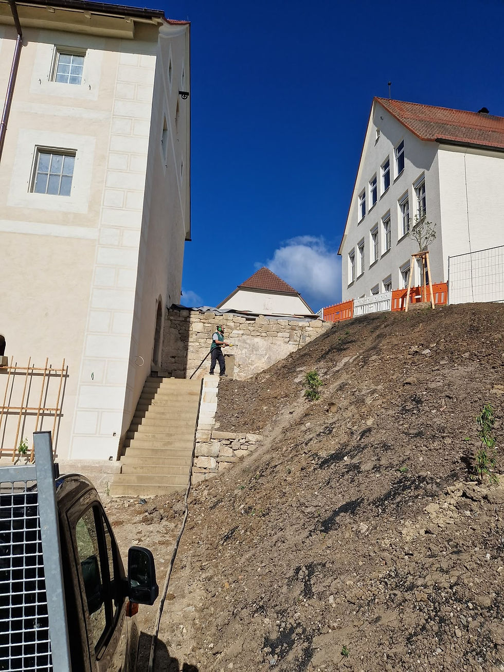 Historisches Kloster Regiosaatgut Hydroseeding.jpeg