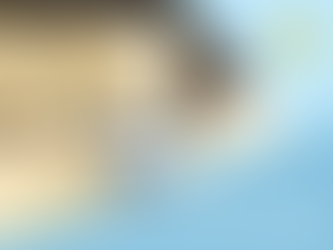 Gunma Flower Park +の施設案内マップにLuminaryARを導入