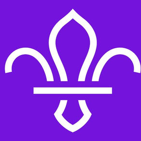 Why Scouts is the best thing a young person can do