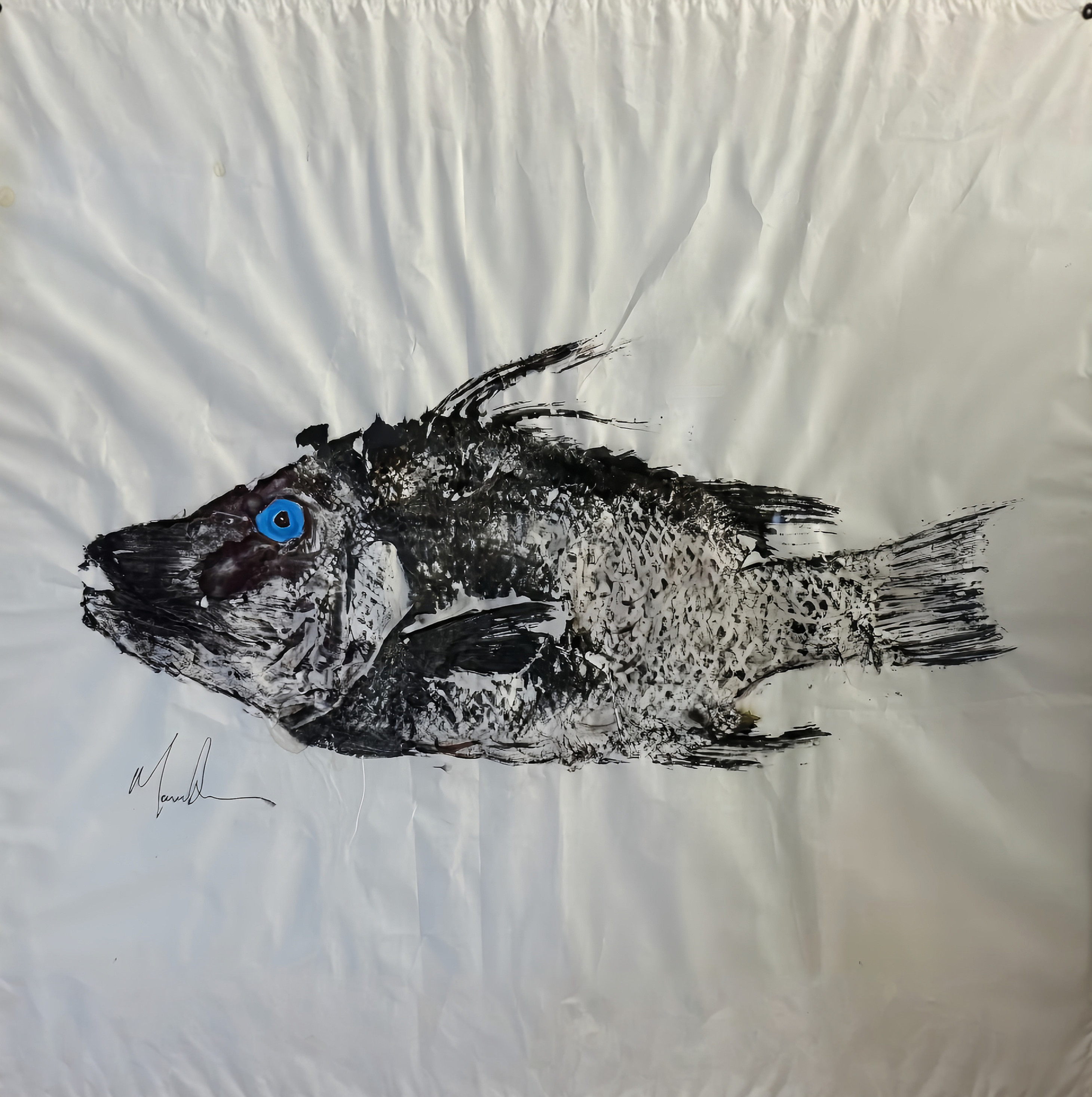 Hogfish Gyotaku 20x16
