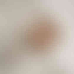 Newborn portrait by Elsiebel Photography in Burnsville Minnesota showcasing a sweet baby girl in a cozy white bonnet and soft natural light.