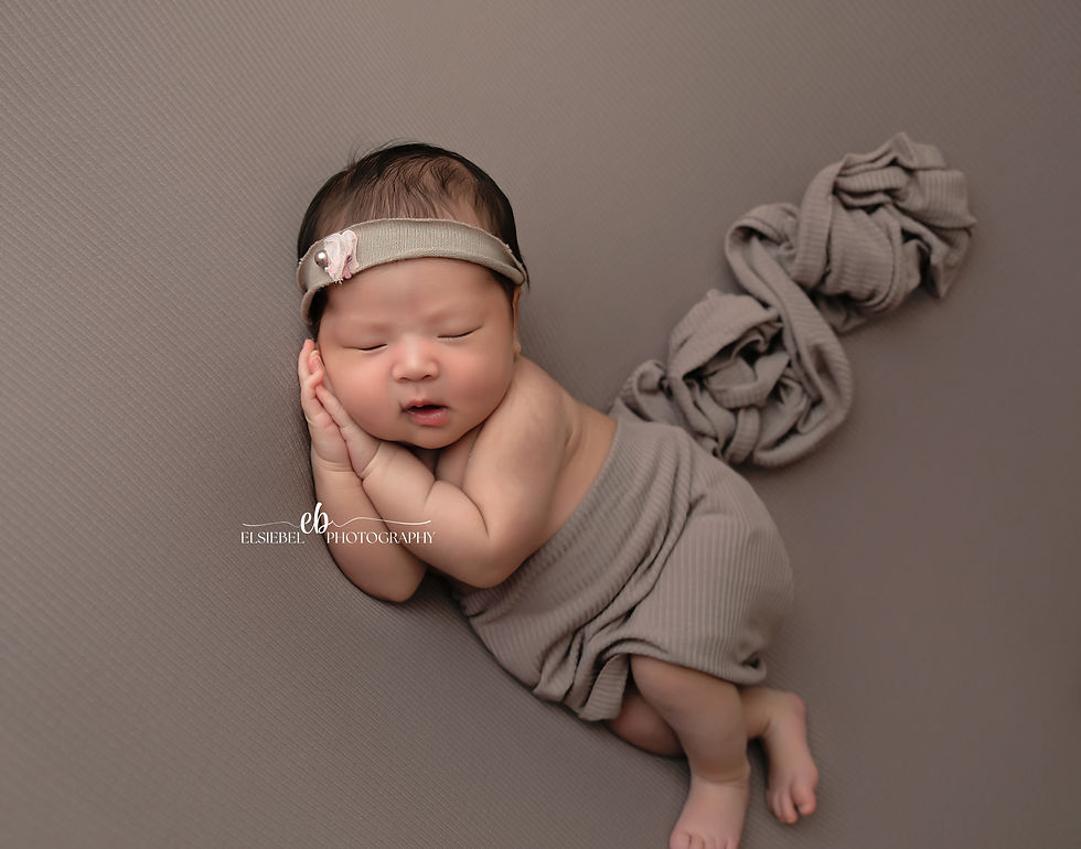 LUXURY NEWBORN PHOTOGRAPHY STUDIO - SERVING WAYZATA MN FAMILIES