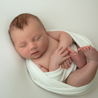 Cozy newborn setup with warm natural light in Edina, MN photography studio.