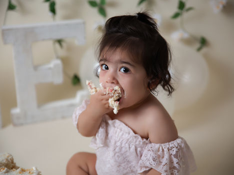 MODERN CAKE SMASH PHOTOSHOOT BURNSVILLE MINNESOTA