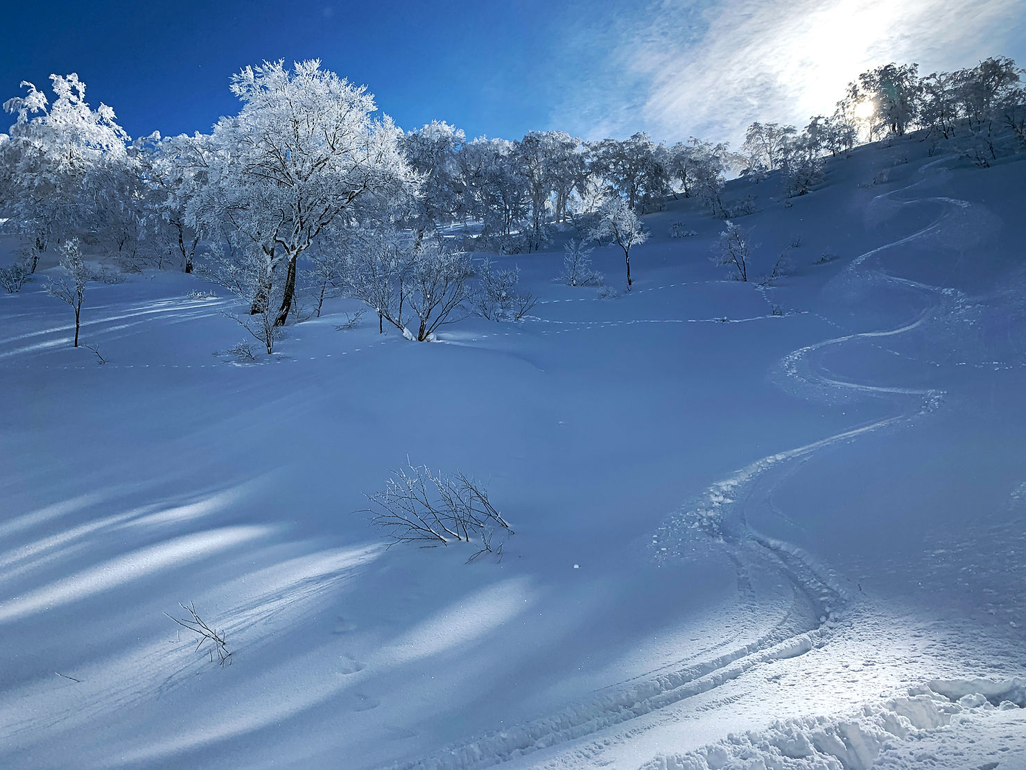 Otari Backcountry Snowboarding