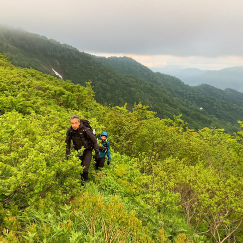 Hiking through thick brush on the way to Yake-yama.