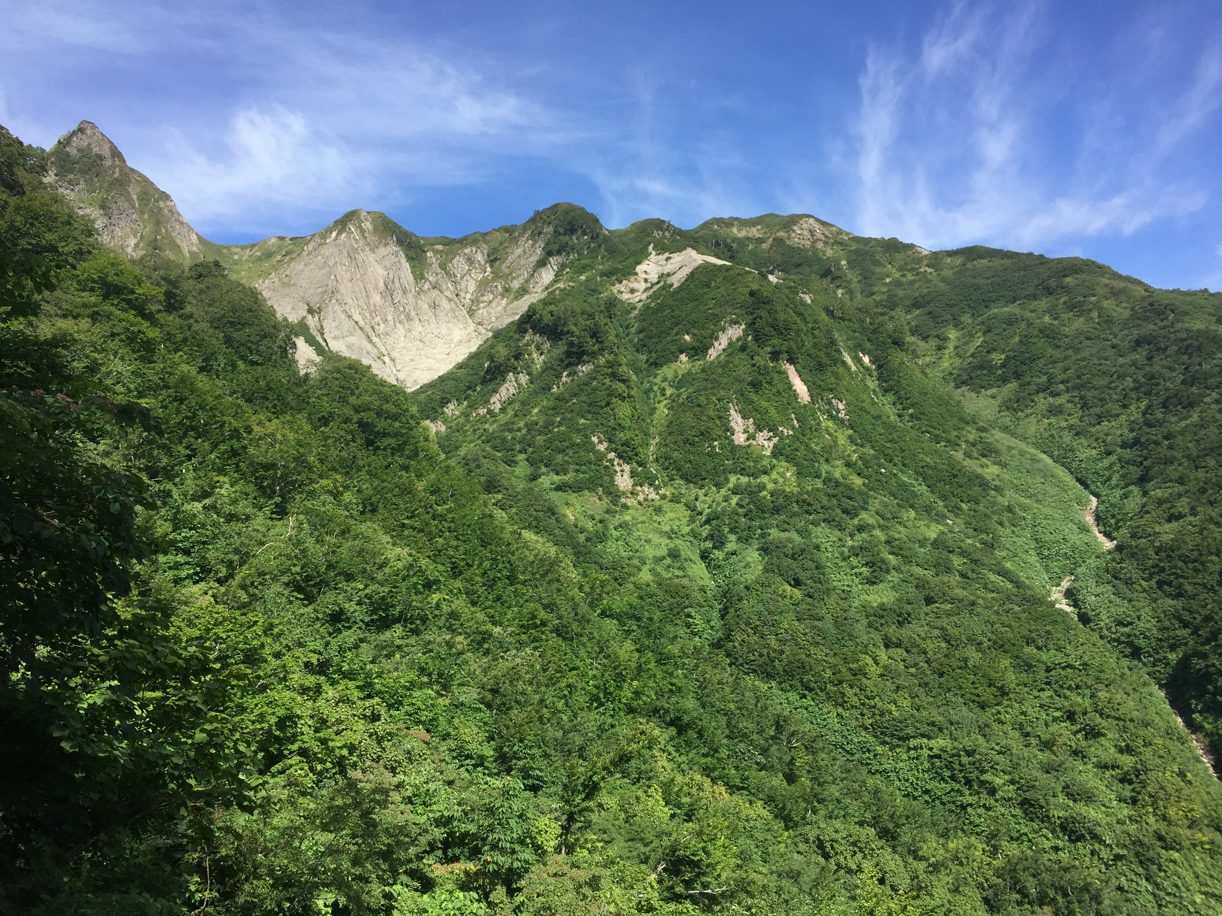 Cassel 山採り　カマツカ Z Wear,ブーティ/シューズ,トレッキング | Shoes Trekking Mid 落葉樹