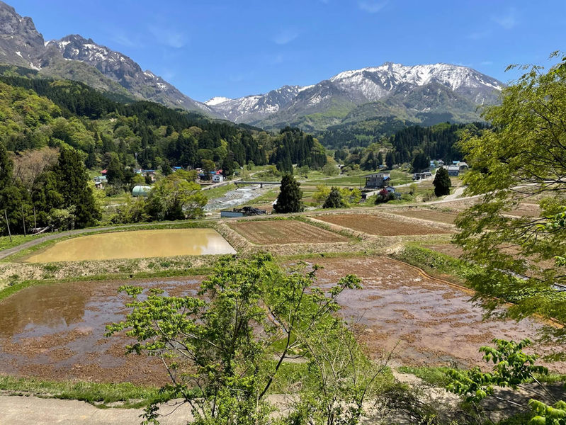 Rice fields in the Nechi Valley await planting, with the snow-covered mountains of the Alps and Mt. Amakazari in the background along the Shionomichi (Salt Road)