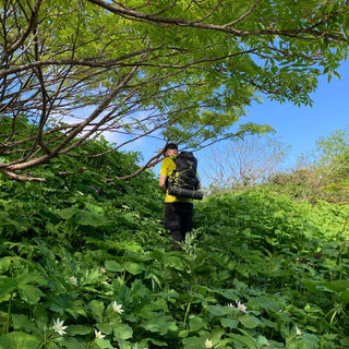 More overgrown trail on the way to Mt. Amakazari