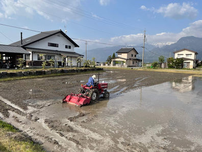 A man plowing his rice field in prepration for planting in May along the Shionomichi (Salt Road)