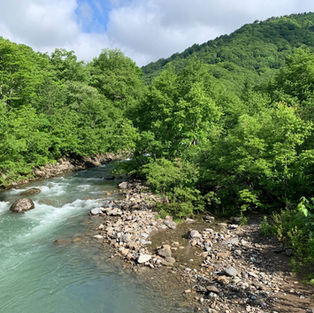 Lush green forest and clear waters near Mt. Myoko
