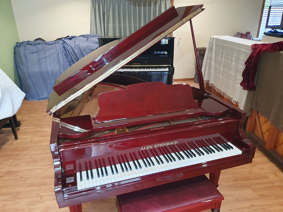 Thumbnail: Alex Steinbach SG 185 Le Classique Semi Concert Grand #KJJBG0290