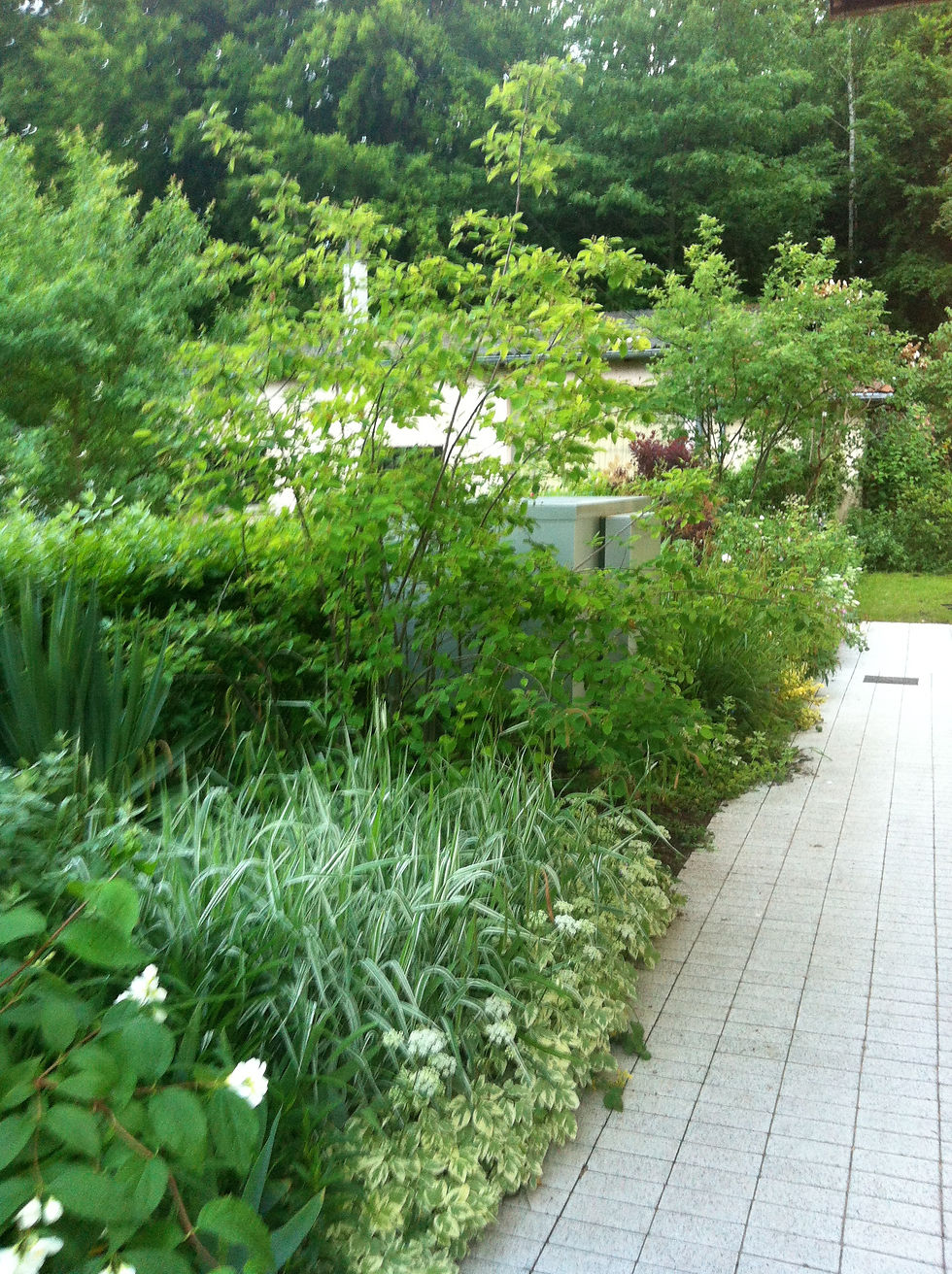 Source, vue mois mai