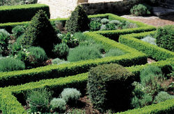 Jardin buis russel page