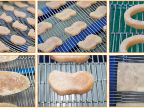 Complete Guide to Food Processing Applications of Drum Former