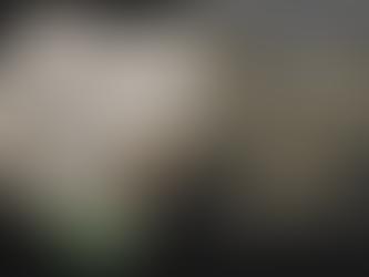 Evaluation of Data Capture