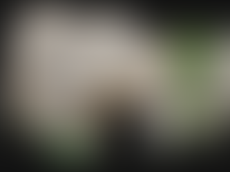 From Photogrammetry to Unreal